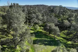 4980 Mourning Dove Ln, Shingle Springs, CA 95682 - Photo 1