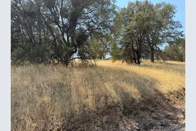 1976 Inyo Court, Copperopolis, CA 95228 - Photo 11