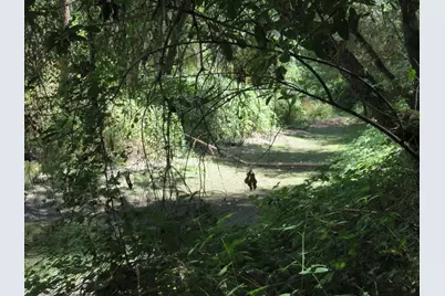 2563 Woodhouse Mine Road, West Point, CA 95255 - Photo 21