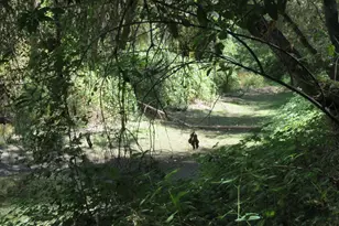 2563 Woodhouse Mine Rd, West Point, CA 95255 - Photo 21