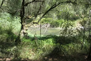 2563 Woodhouse Mine Rd, West Point, CA 95255 - Photo 23