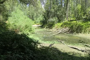 2563 Woodhouse Mine Rd, West Point, CA 95255 - Photo 19