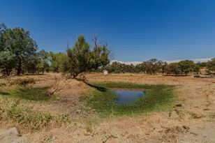 6500 Jenny Lind Rd, Valley Springs, CA 95252 - Photo 51