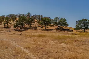 6500 Jenny Lind Rd, Valley Springs, CA 95252 - Photo 63