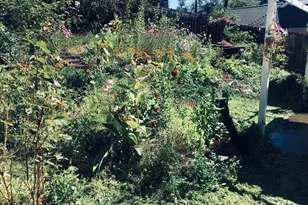 36 Taylor, Weaverville, CA 96093 - Photo 23