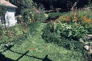 36 Taylor, Weaverville, CA 96093 - Photo 7