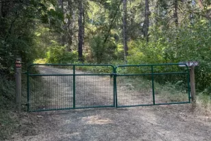 4920 Arctic Ln, Grizzly Flats, CA 95684 - Photo 1