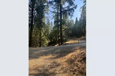 4920 Arctic Lane, Grizzly Flats, CA 95684 - Photo 3