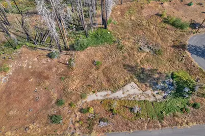 7425 Winding Way, Grizzly Flats, CA 95636 - Photo 3