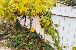 108 Pine St, West Point, CA 95255 - Photo 15