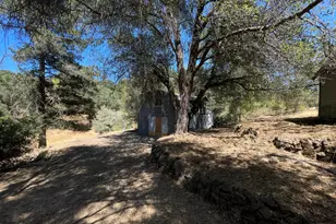 3458 Coon Hollow Rd, Placerville, CA 95667 - Photo 9