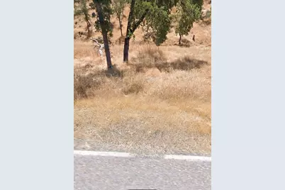 5087 Bane Road, Valley Springs, CA 95252 - Photo 1