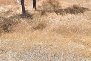 5087 Bane Rd, Valley Springs, CA 95252 - Photo 1