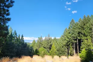 20392 Madrone Springs, Nevada City, CA 95959 - Photo 1