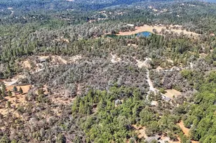 328 Antler Rdg Ct, Greenwood, CA 95635 - Photo 35