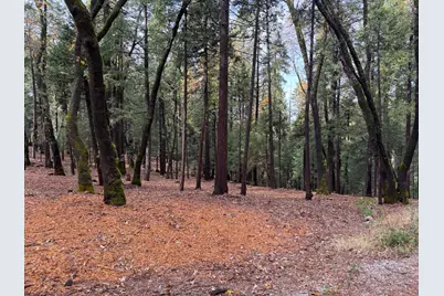 13646 Quaker Hill Cross Road, Nevada City, CA 95959 - Photo 3