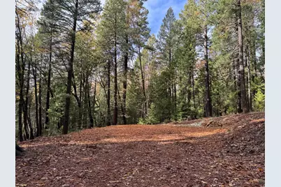 13646 Quaker Hill Cross Road, Nevada City, CA 95959 - Photo 5