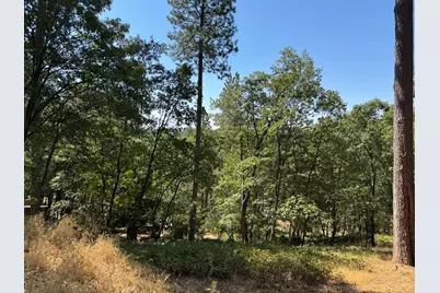 315 Hill Street, Grass Valley, CA 95945 - Photo 3