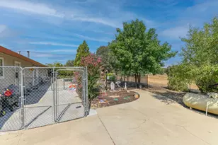2451 Canoe St, Copperopolis, CA 95228 - Photo 63