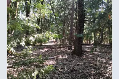 13762 Lightning Tree Road, Nevada City, CA 95959 - Photo 7