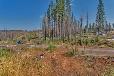 5132 Golden Aspen, Grizzly Flats, CA 95636 - Photo 3