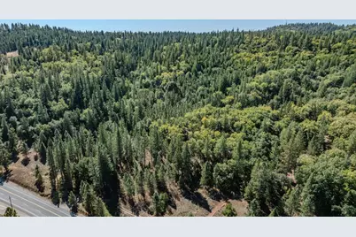21000 French Gulch Road, Pine Grove, CA 95665 - Photo 49