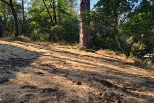 13021 Ridge View Dr, Sutter Creek, CA 95685 - Photo 3