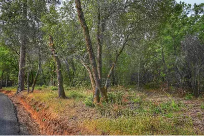 0 Richards Lane, Auburn, CA 95603 - Photo 5