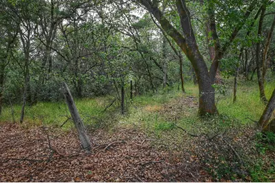 0 Richards Lane, Auburn, CA 95603 - Photo 7