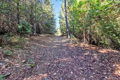 16831 Garden Valley Road, Camptonville, CA 95922 - Photo 5