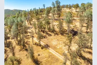 10255 Boneyard Creek Road, Coulterville, CA 95311 - Photo 69