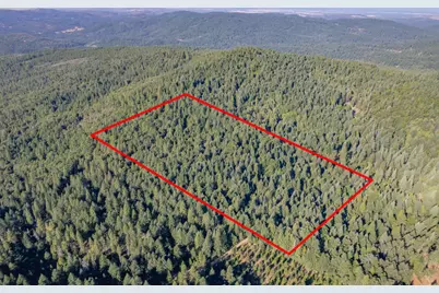 10466 N Slope Trail, Camptonville, CA 95922 - Photo 7