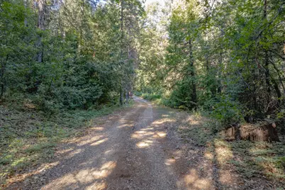 10466 N Slope Trail, Camptonville, CA 95922 - Photo 3