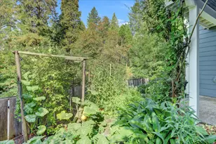 210 Mill St, Nevada City, CA 95959 - Photo 65