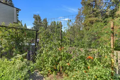 210 Mill Street, Nevada City, CA 95959 - Photo 69