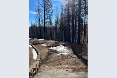 4962 Edgewood Circle, Grizzly Flats, CA 95636 - Photo 5