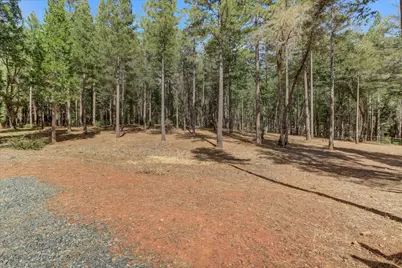 13821 Golden Lily Court, Grass Valley, CA 95945 - Photo 9