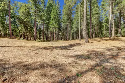 13821 Golden Lily Court, Grass Valley, CA 95945 - Photo 15