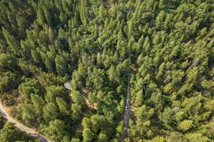 5987 Sweeney Rd, Somerset, CA 95684 - Photo 11