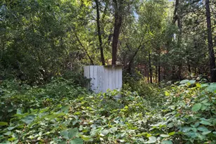 5987 Sweeney Rd, Somerset, CA 95684 - Photo 5