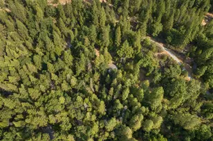 5987 Sweeney Rd, Somerset, CA 95684 - Photo 9