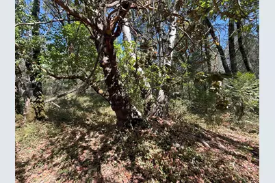 14742 Boquest Drive, Nevada City, CA 95959 - Photo 33