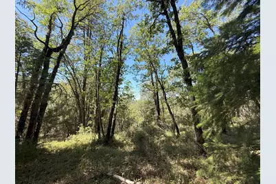 14742 Boquest Drive, Nevada City, CA 95959 - Photo 33