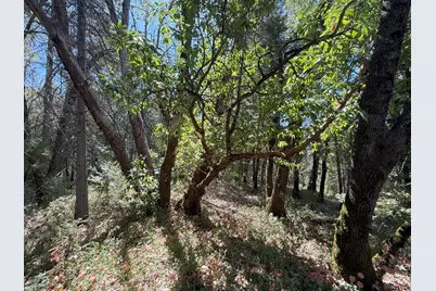 14742 Boquest Drive, Nevada City, CA 95959 - Photo 31