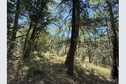 14742 Boquest Drive, Nevada City, CA 95959 - Photo 39