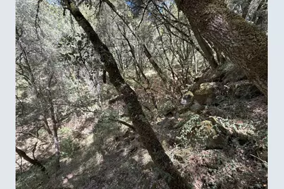 14742 Boquest Drive, Nevada City, CA 95959 - Photo 49