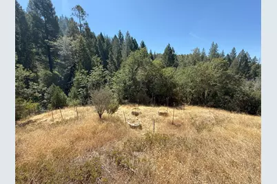 14742 Boquest Drive, Nevada City, CA 95959 - Photo 5