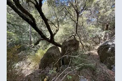 14742 Boquest Drive, Nevada City, CA 95959 - Photo 45