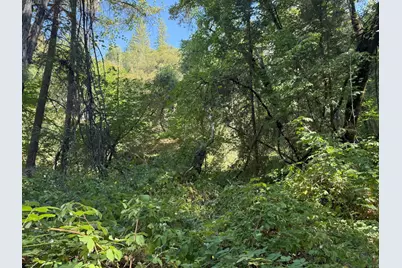 14742 Boquest Drive, Nevada City, CA 95959 - Photo 9