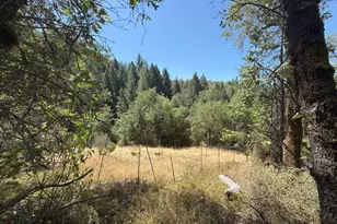 14742 Boquest Dr, Nevada City, CA 95959 - Photo 1